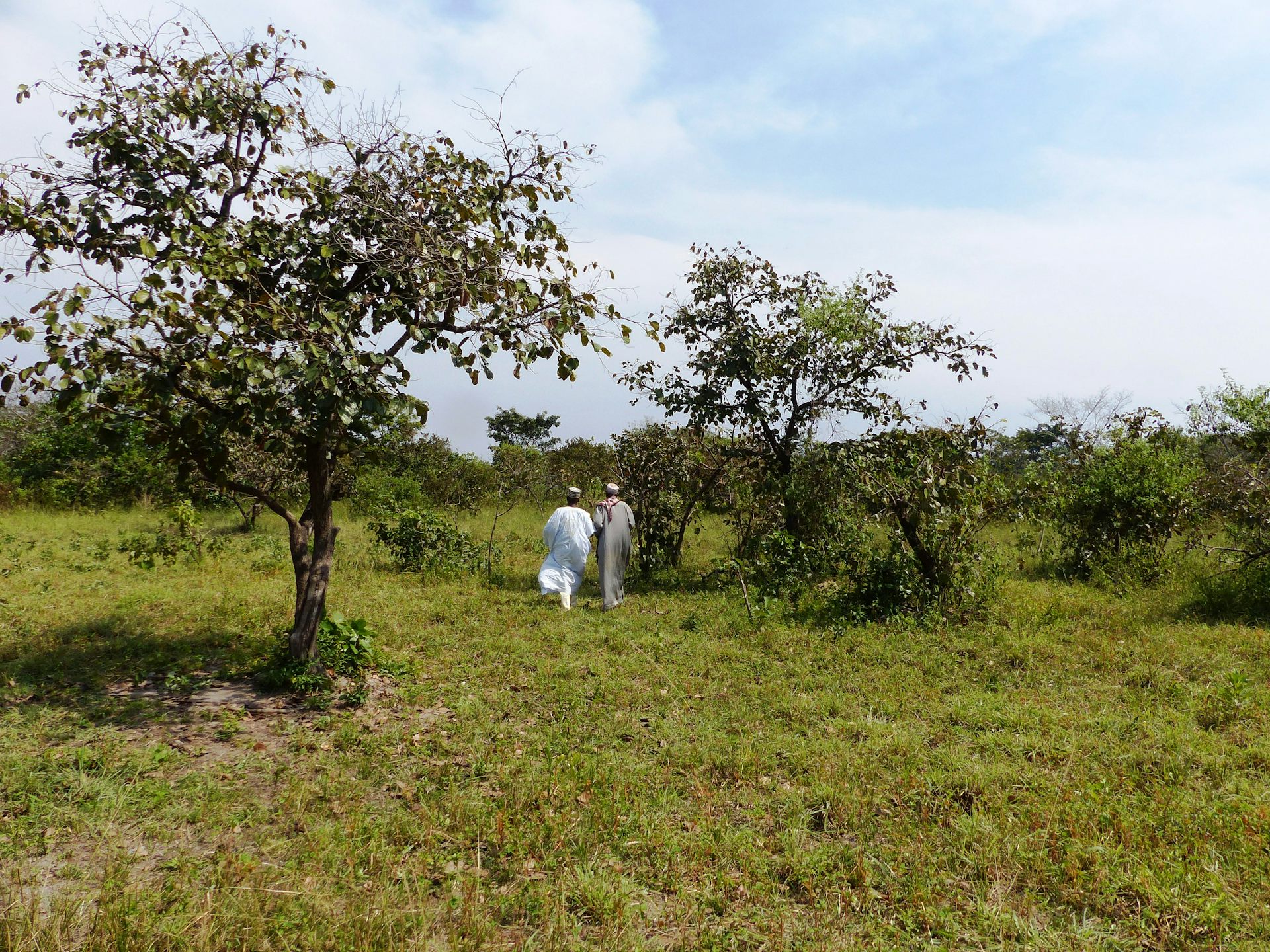 Comment mesure-t-on la perte de biodiversité ? L’exemple de l’Afrique