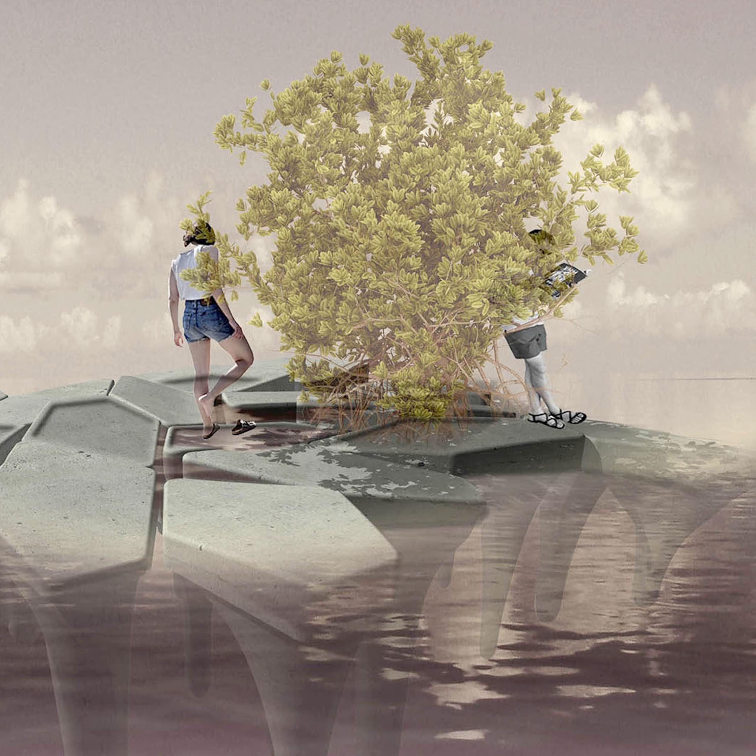 Ocean forests: how ‘floating’ mangroves could provide a broad range of ecological and social benefits