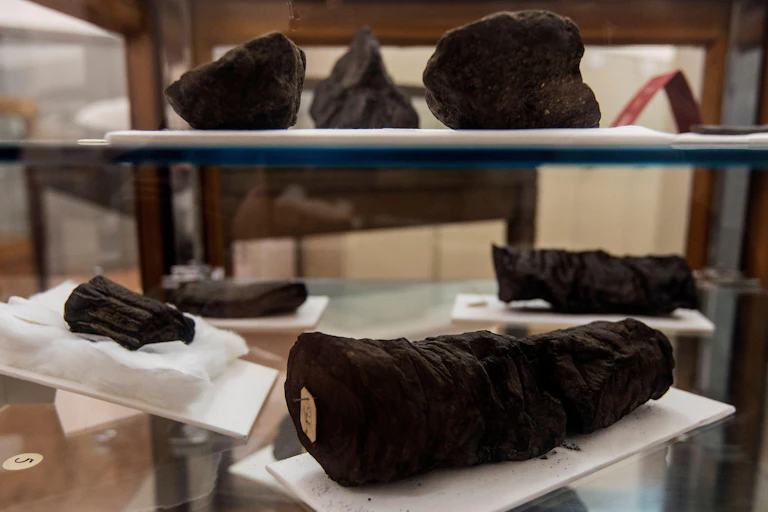 Carbonised scrolls from Herculaneum.