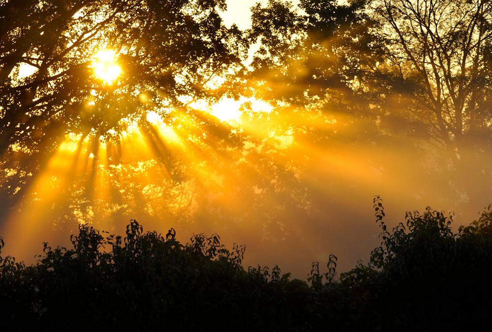 Explainer How Does Our Sun Shine Explainer How Does Our Sun Shine