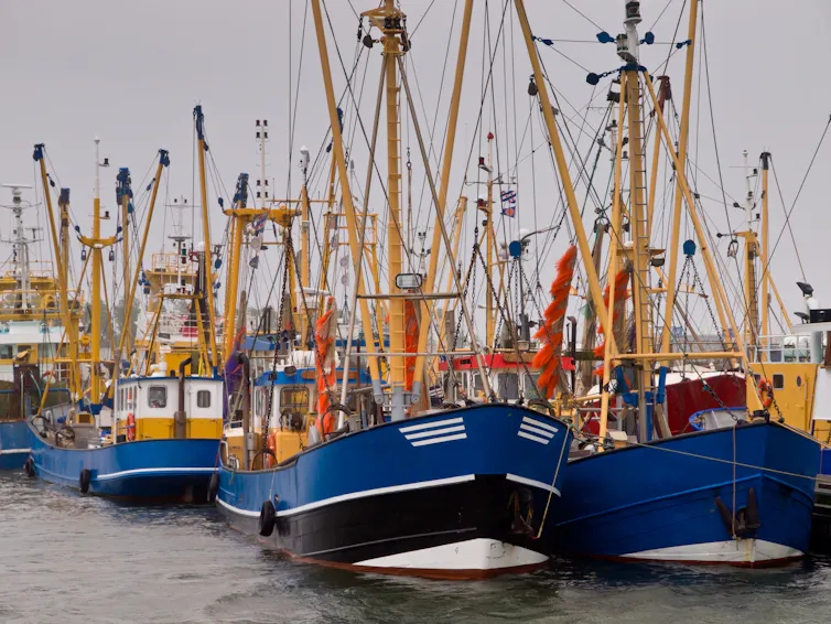 Rows of boats are parked side-by-side.