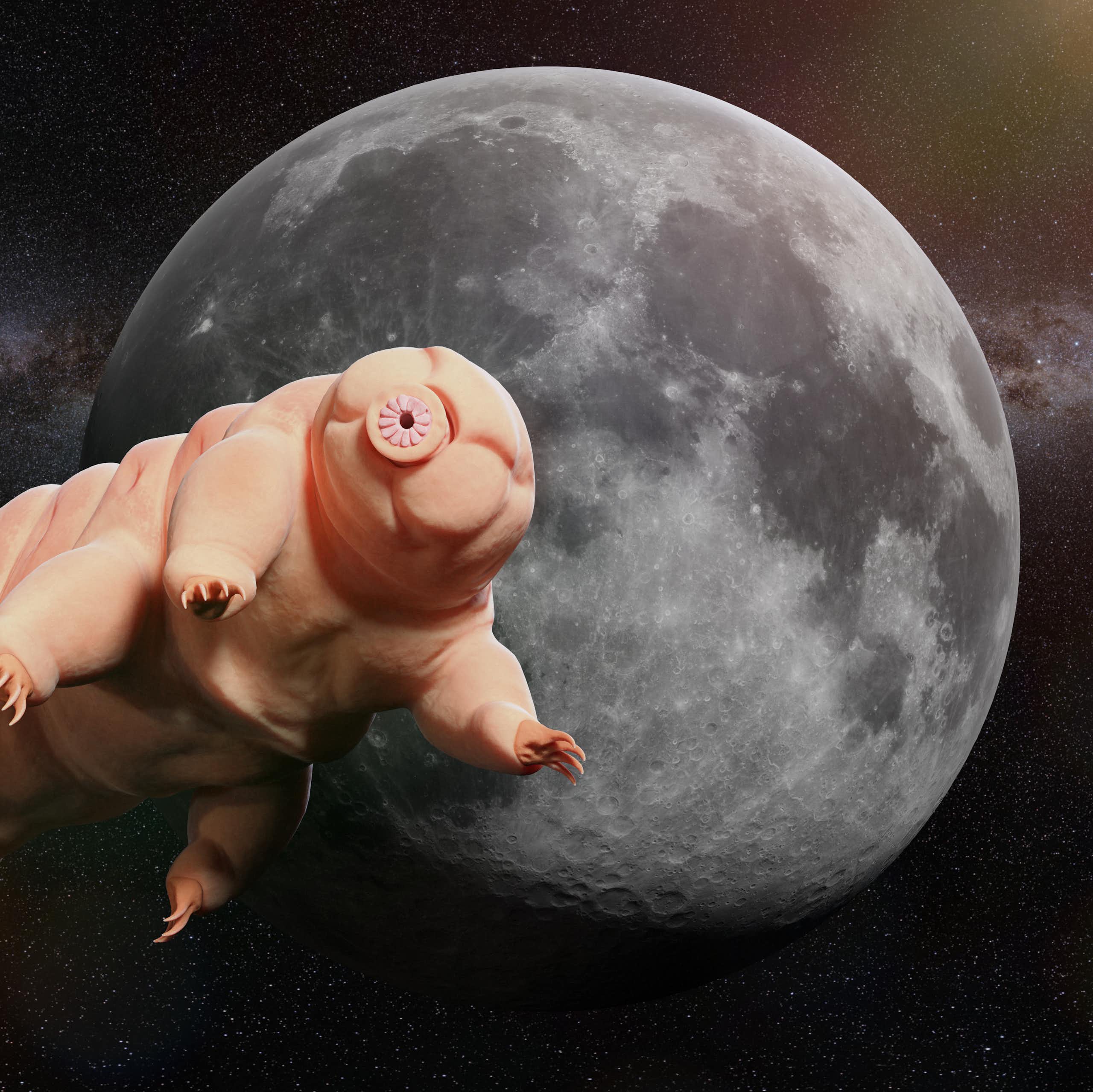 Des tardigrades sont-ils en train de coloniser la Lune ?