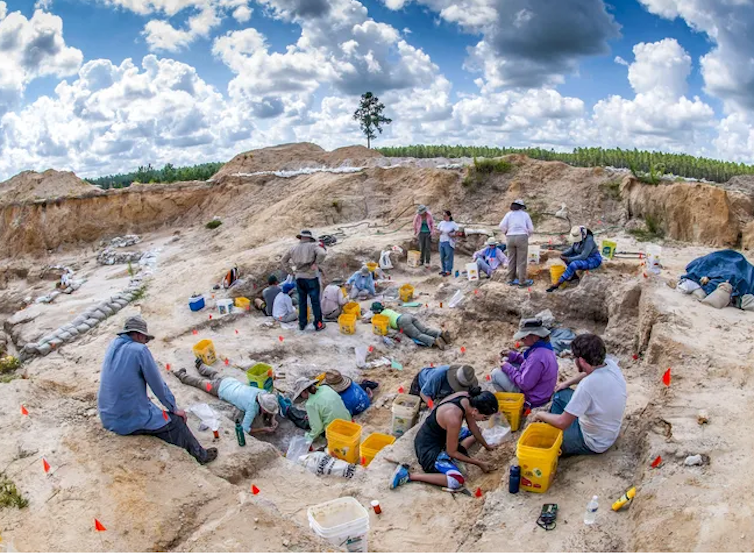 About a dozen people focused on digging in soil a few feet below the surface of surrounding landscape.