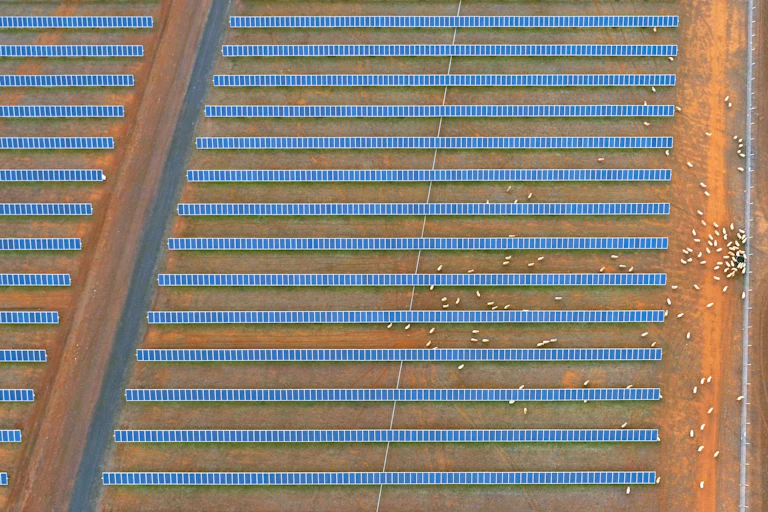 and around rows of solar panels