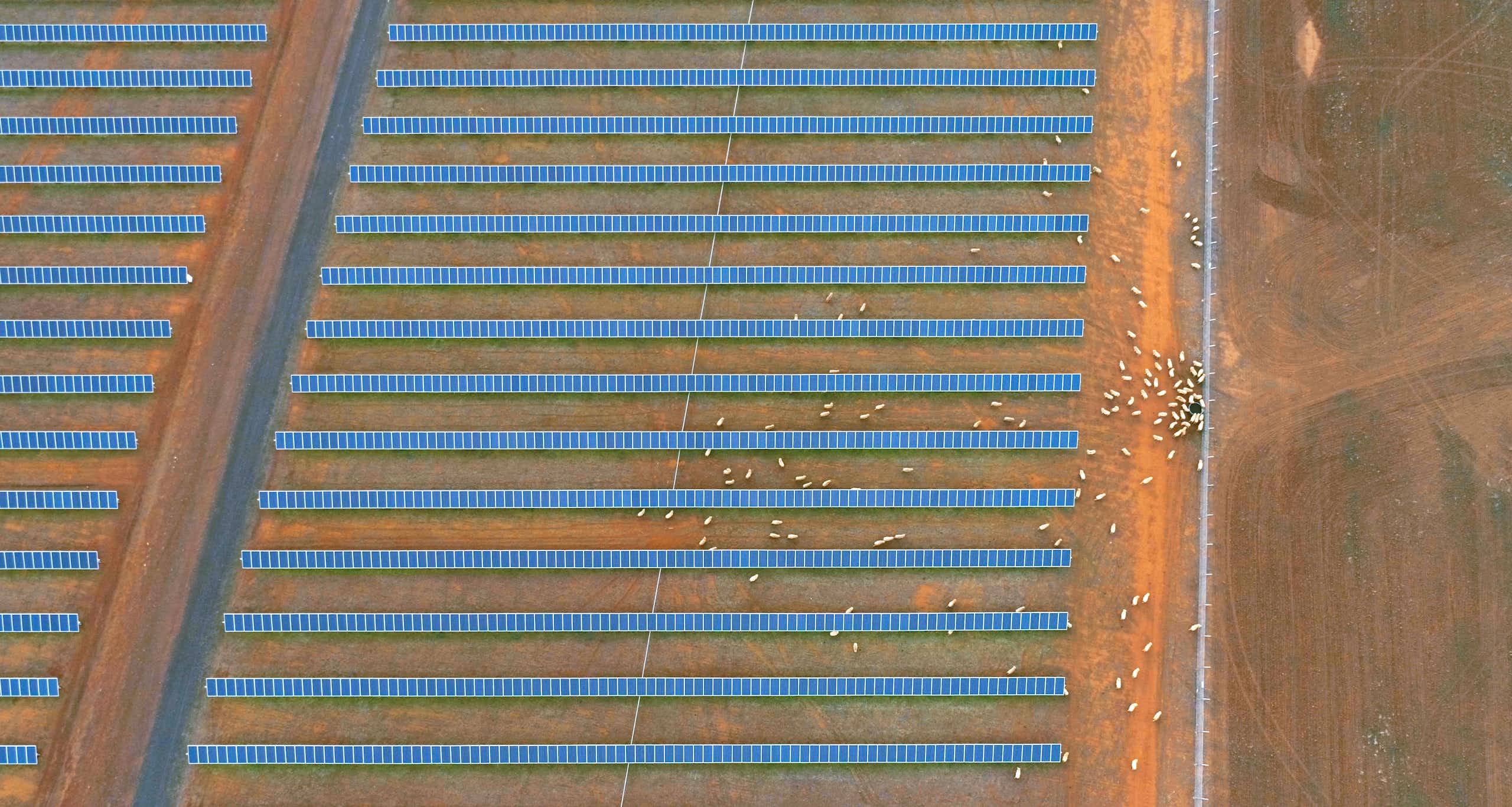  and around rows of solar panels