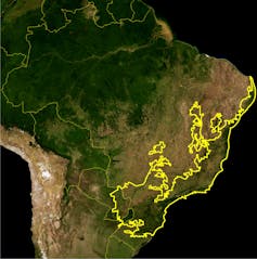 Brazil's Atlantic Forest (Mata Atlântica)