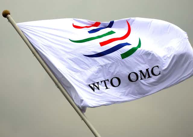 Drapeau de l’OMC