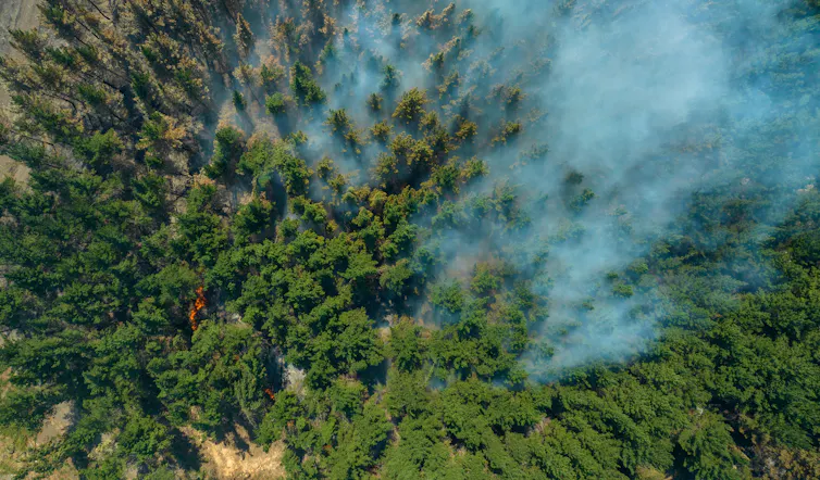Vue d’en haut d’un feu de forêt à Cabrero, dans le quartier de Biobío. En février 2024, le Chili a subi des centaines d’incendies dans la zone sud, qui ont brûlé des milliers d’hectares et tué des centaines de personnes