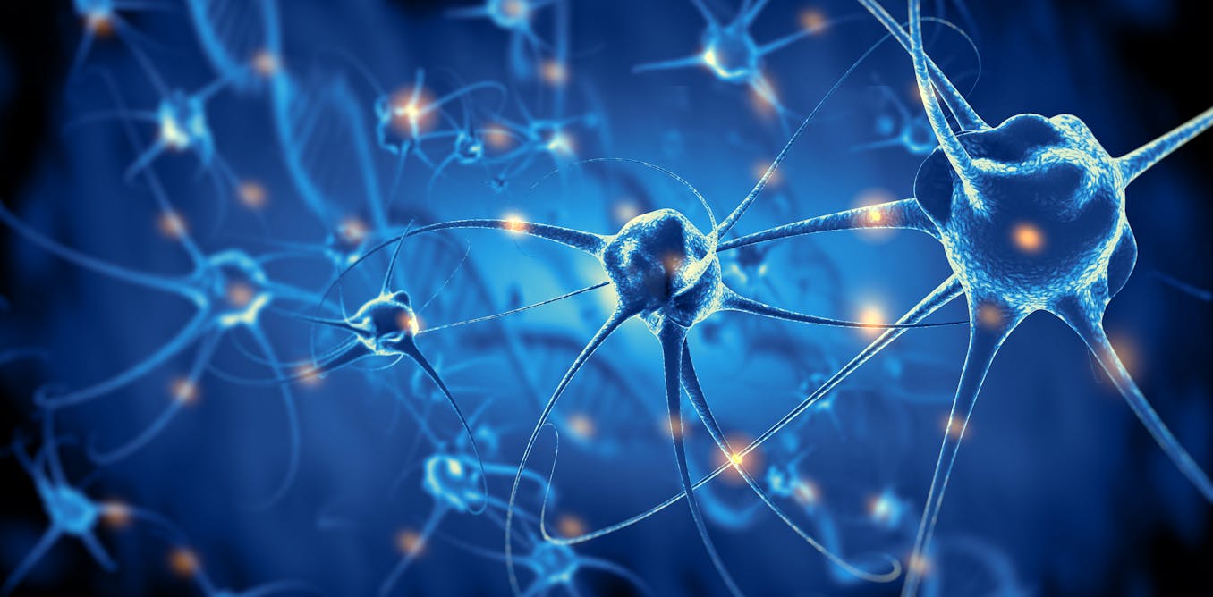 No podemos aumentar el número de neuronas de nuestro cerebro, pero sí  ayudar a que estén mejor conectadas