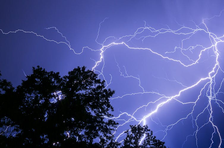 lightning striking tree