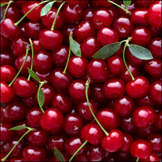 Photo of cherries