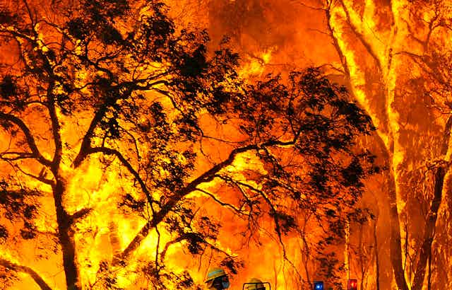 bushfire raging