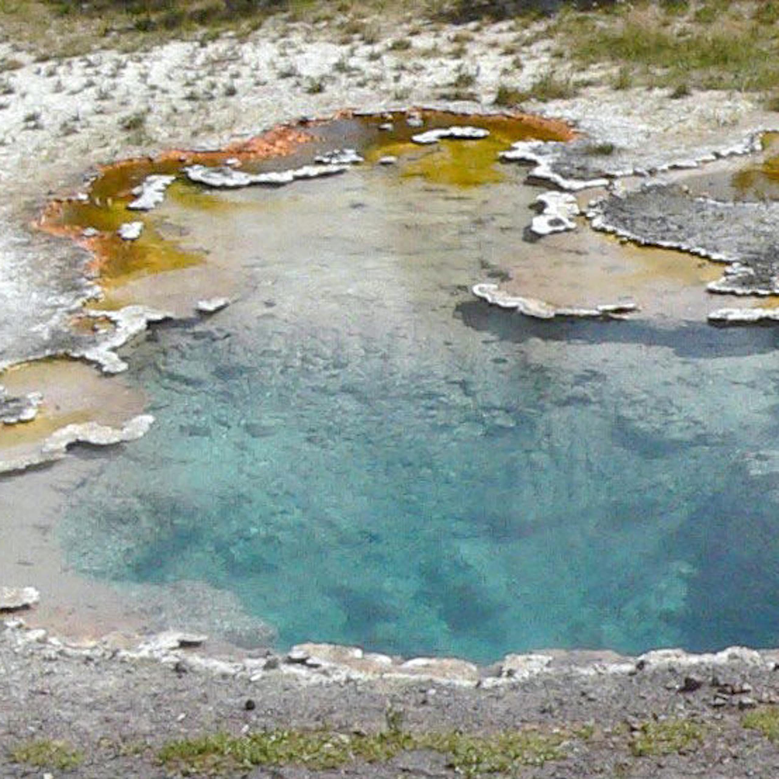 A pond with clear water and yellow substances on its edges