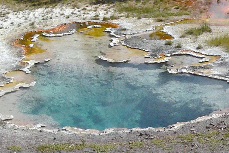 A pond with clear water and yellow substances on its edges