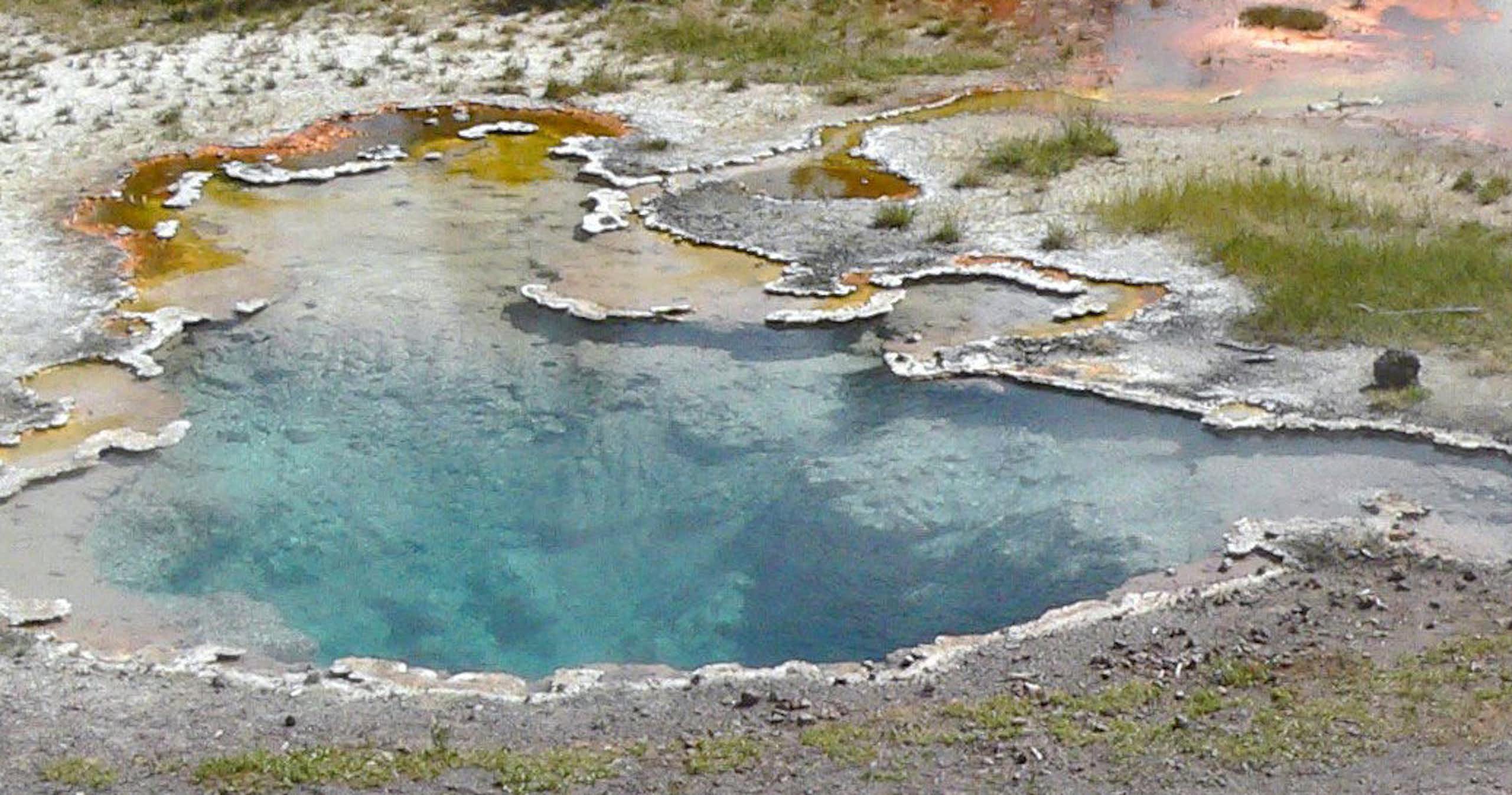A pond with clear water and yellow substances on its edges