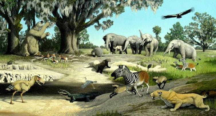 Painting of landscape and animal diversity, including birds, reptiles, zebras, giant sloths, elephants and big cats.