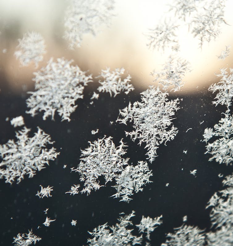 Snow crystals attached to a window.