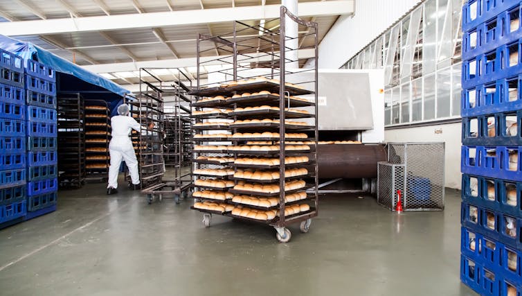 A batch of bread in a manufacturing facility