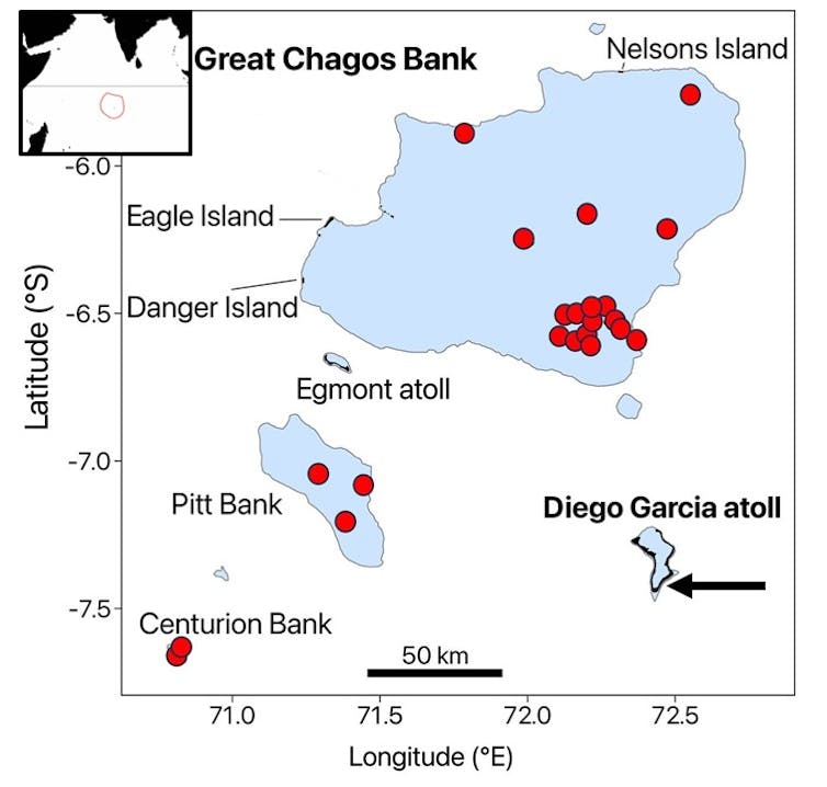 Map of islands with red dots indicating where hawksbill turtles feed