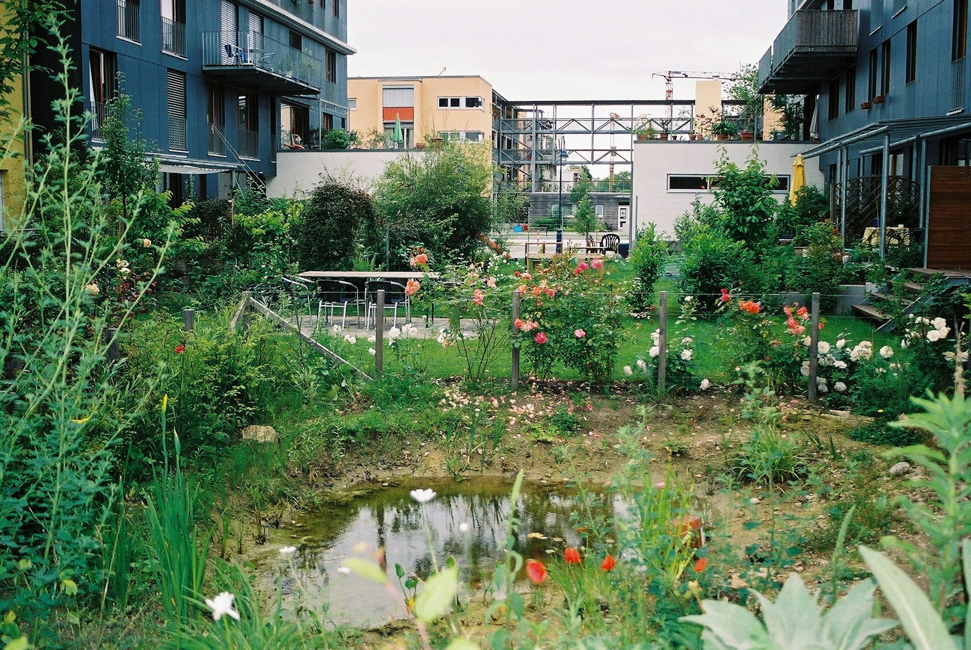 Quartier Vauban : espaces verts collectifs et mare