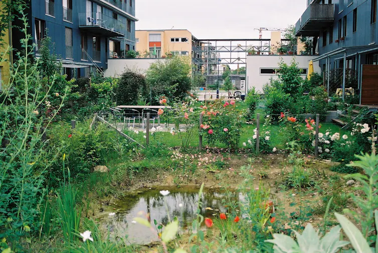 Quartier Vauban : espaces verts collectifs et mare