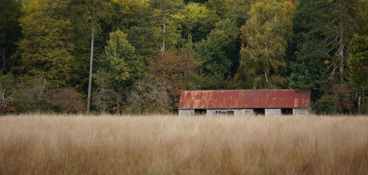 Abandoned barn in a field