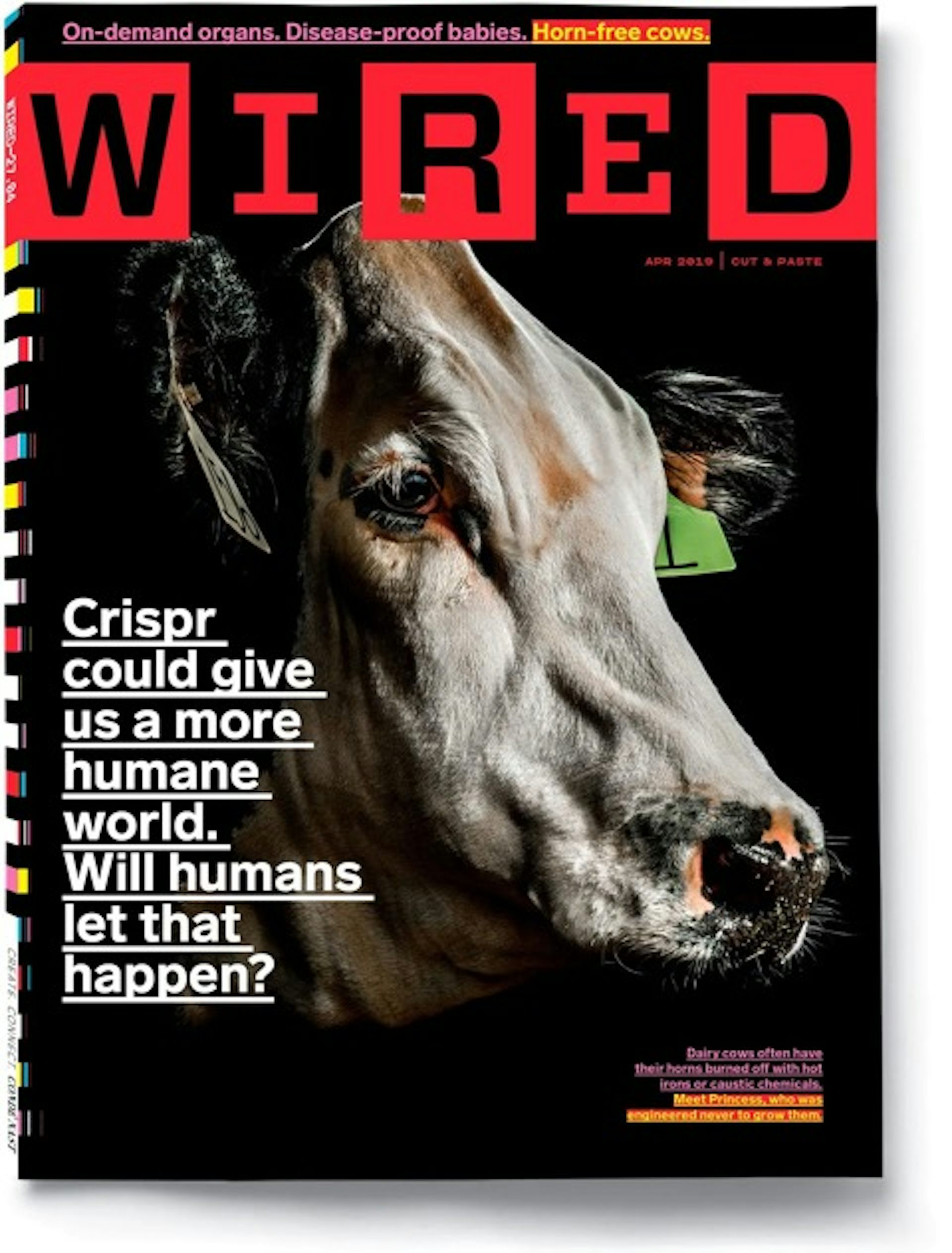 Couverture de Wired d’avril 2019, mettant en scène une vache sans cornes