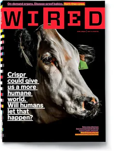 Couverture de Wired d’avril 2019, mettant en scène une vache sans cornes