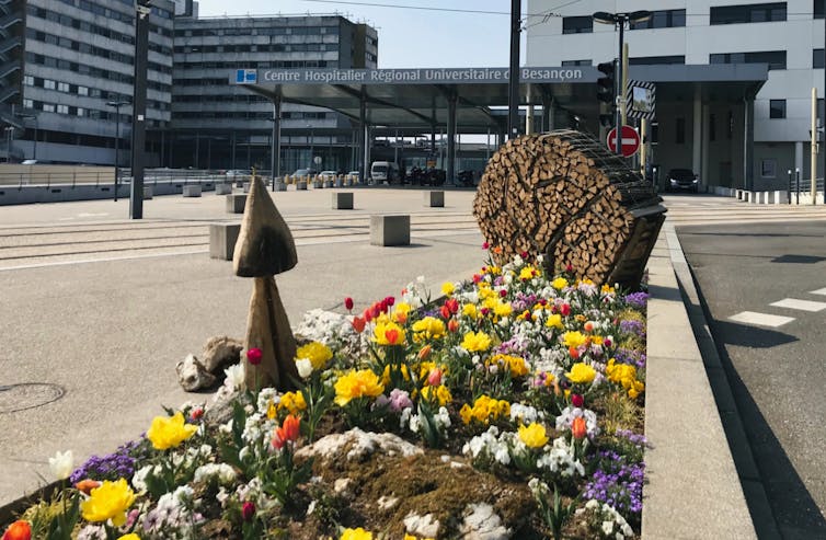 Photo des parterres de tulipes situés devant l’entrée du CHU de Besançon