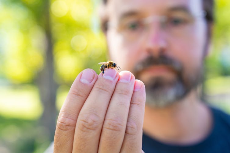 A man with a beard and glasses holding a small honey bee on his fingertips