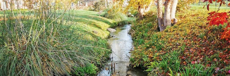 small stream with green river banks and a tree to the right.
