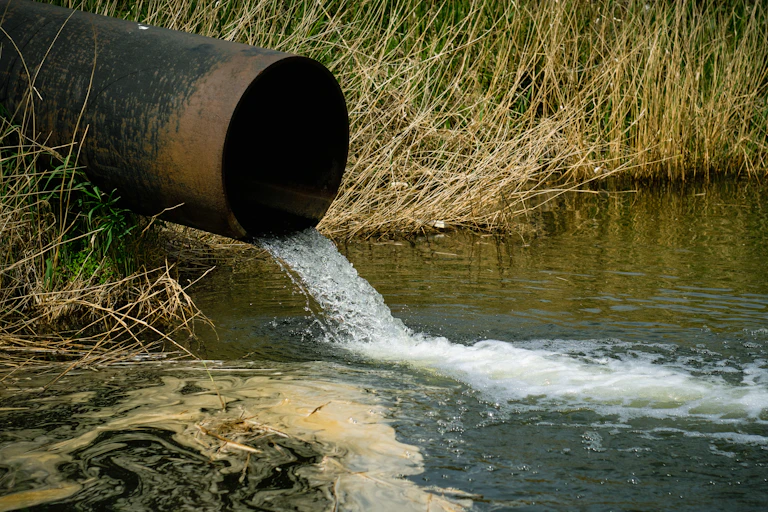 Brown pipe, murky water spewing into river, grassy reeds in background