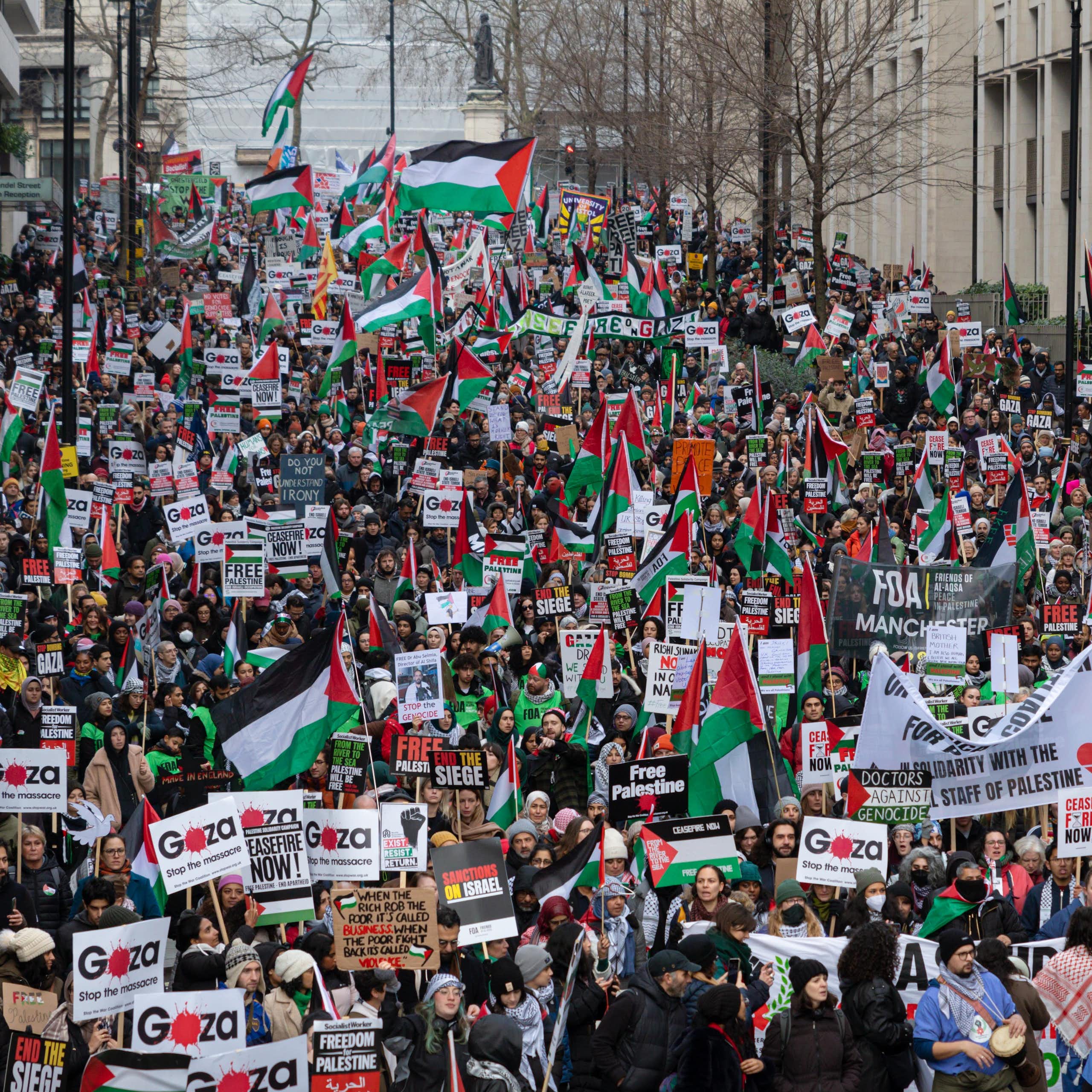 A large crowd of protesters carrying Palestinian flags fill a London street