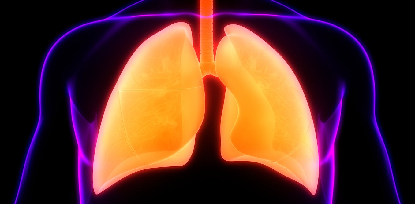Omega-3-Fettsäuren werden mit einer besseren Lungengesundheit in Verbindung gebracht, insbesondere bei Patienten mit Lungenfibrose