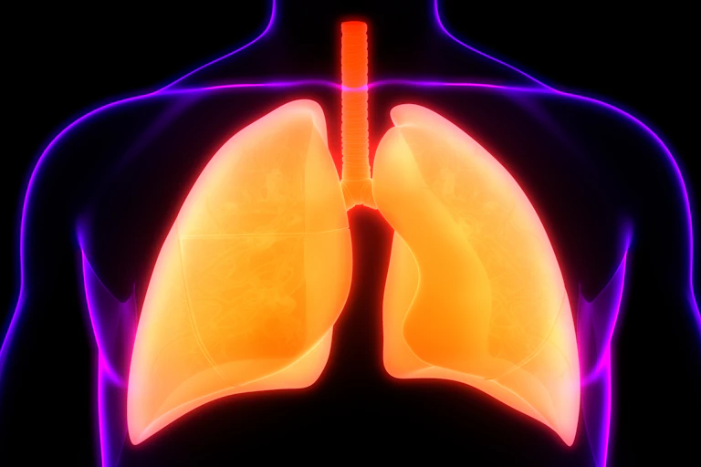 Illustration of golden lungs in the silhouette of a person's chest