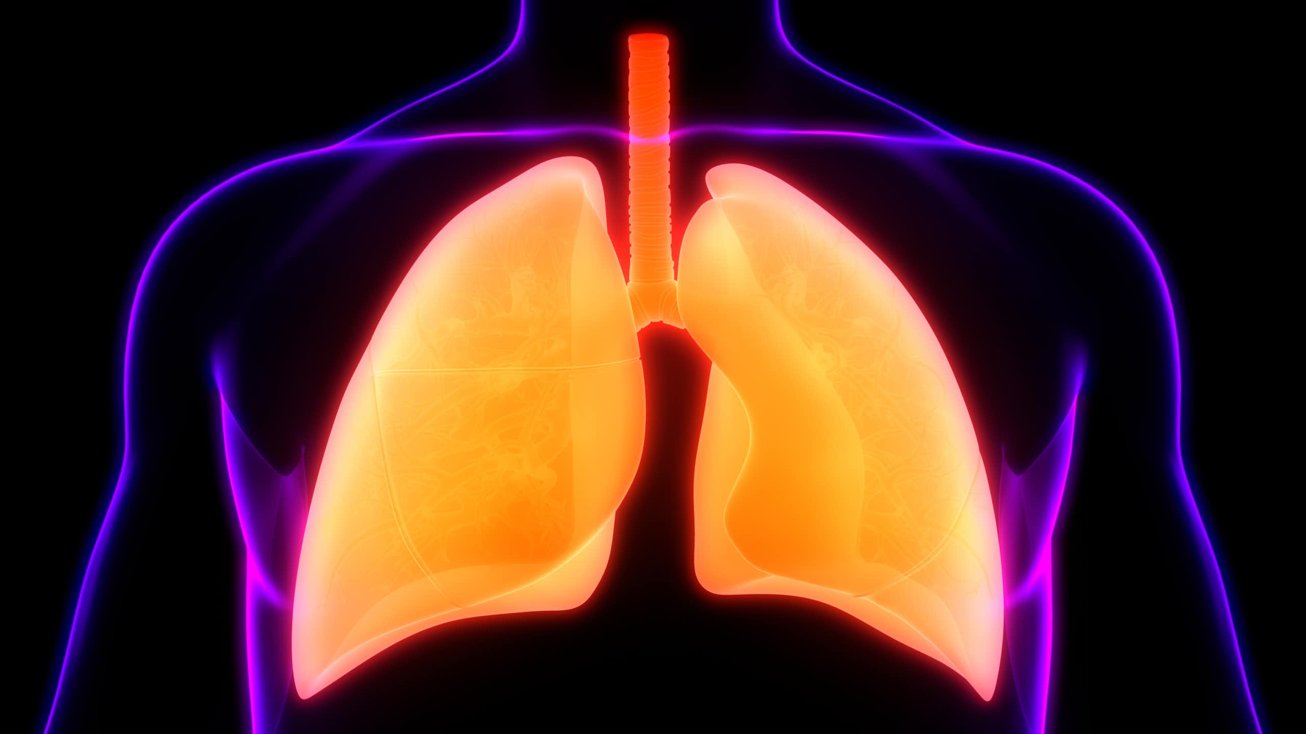 Illustration of golden lungs in the silhouette of a person's chest