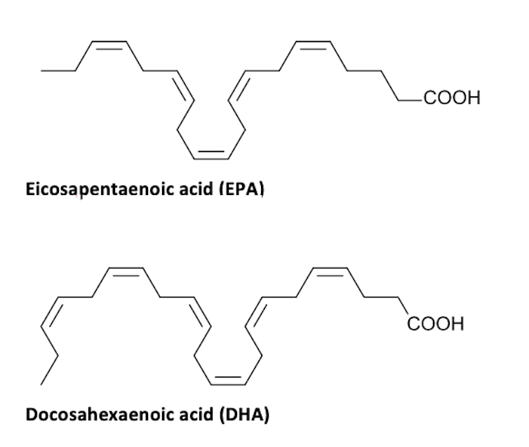 Chemical structure of EPA and DHA