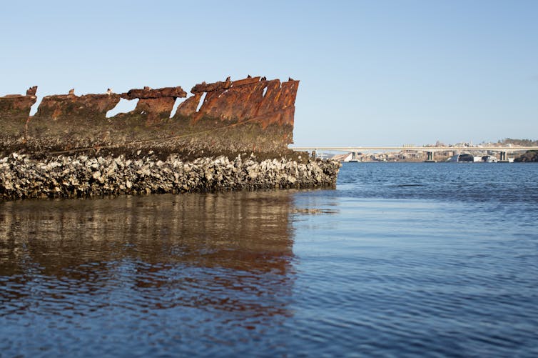 Photograph of the wreck of the Otago, Derwent River, Hobart.