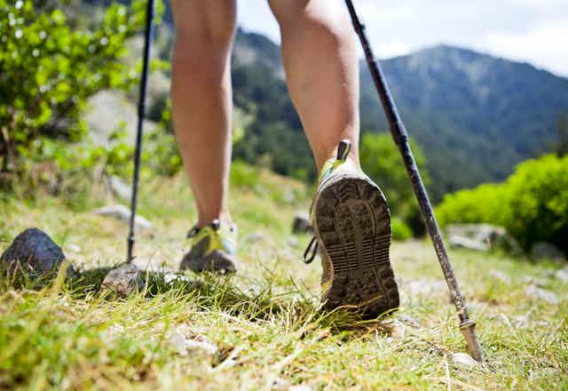  Close up of legs in trainers with walking poles going on a mountainous trek
