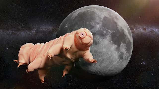 Illustration of a tardigrade in front of the Moon.