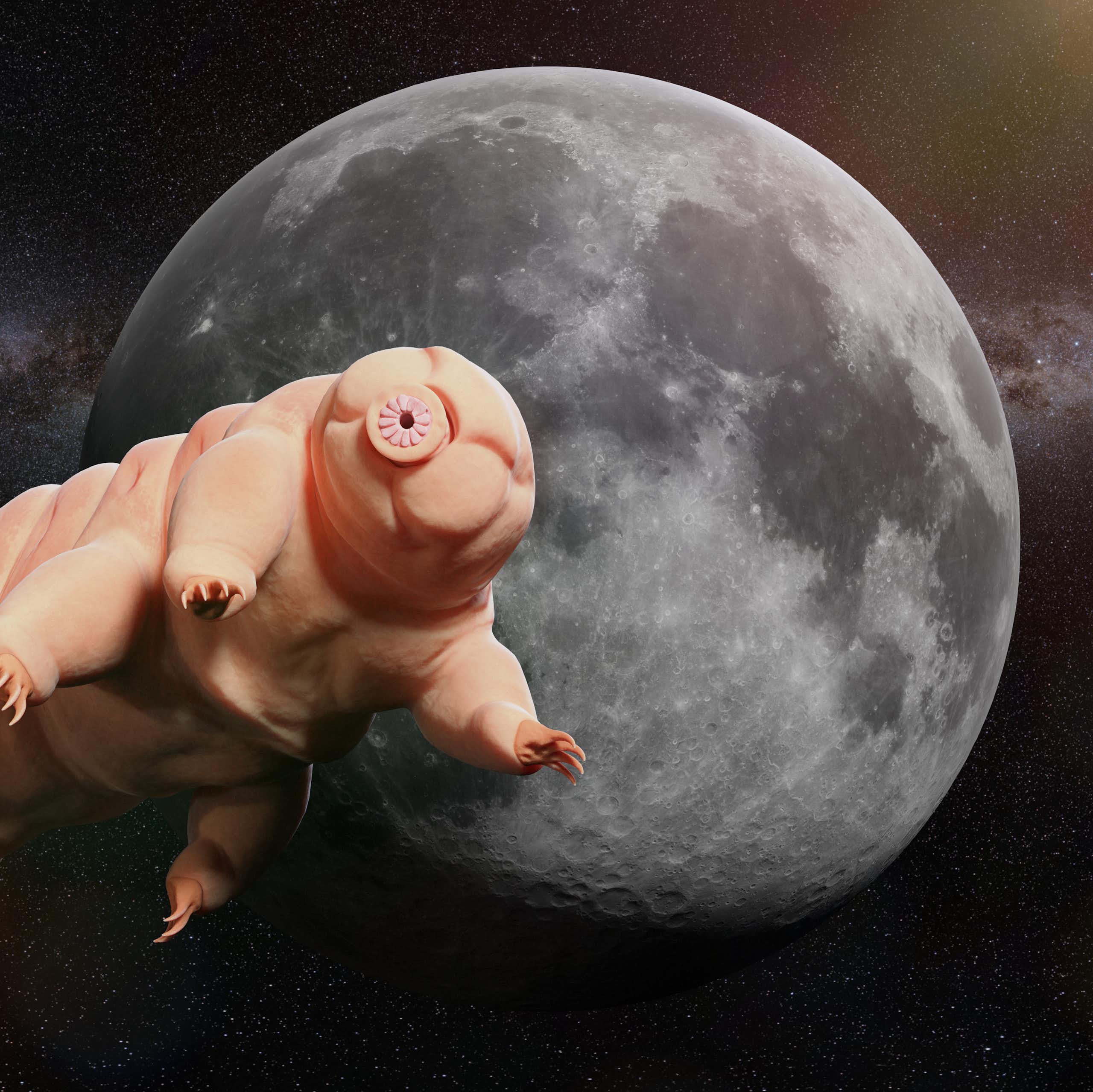 Illustration of a tardigrade in front of the Moon.