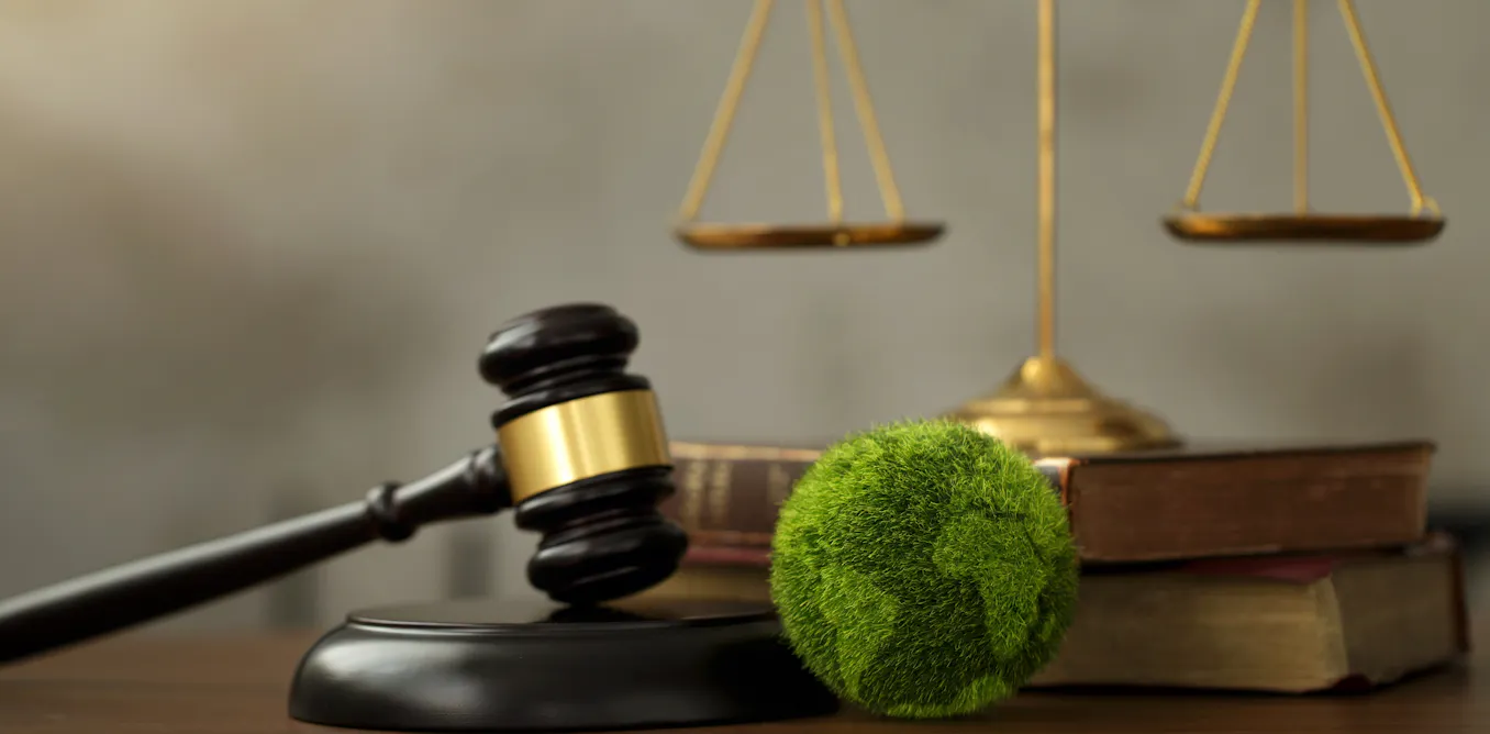 Three secrets to successful climate litigation