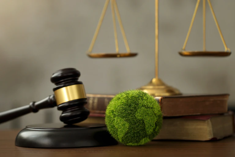 Gavel on desk with small green earth, books and gold weighing scales in background
