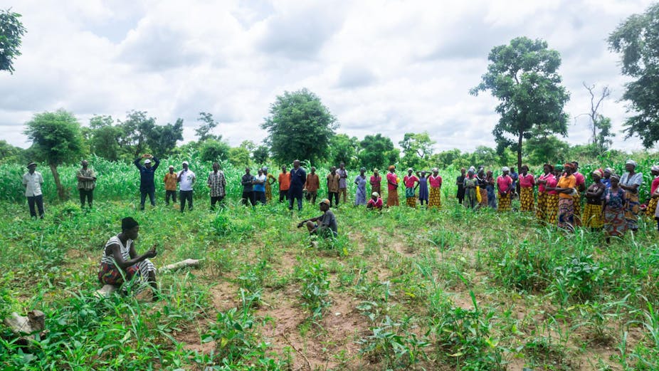 About 25 farmers gather in their crop fields, standing in a circle and meeting.