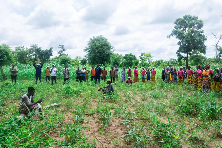About 25 farmers gather in their crop fields, standing in a circle and meeting.