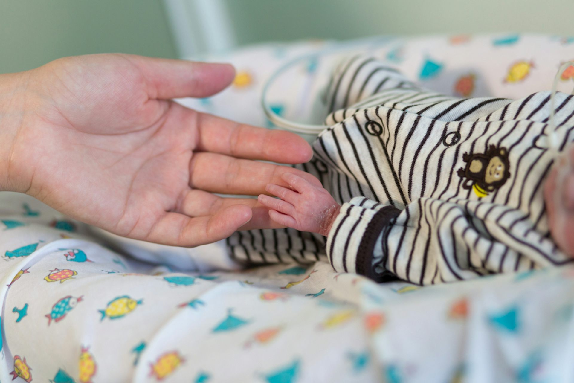 Mère tenant la main d'un bébé prématuré