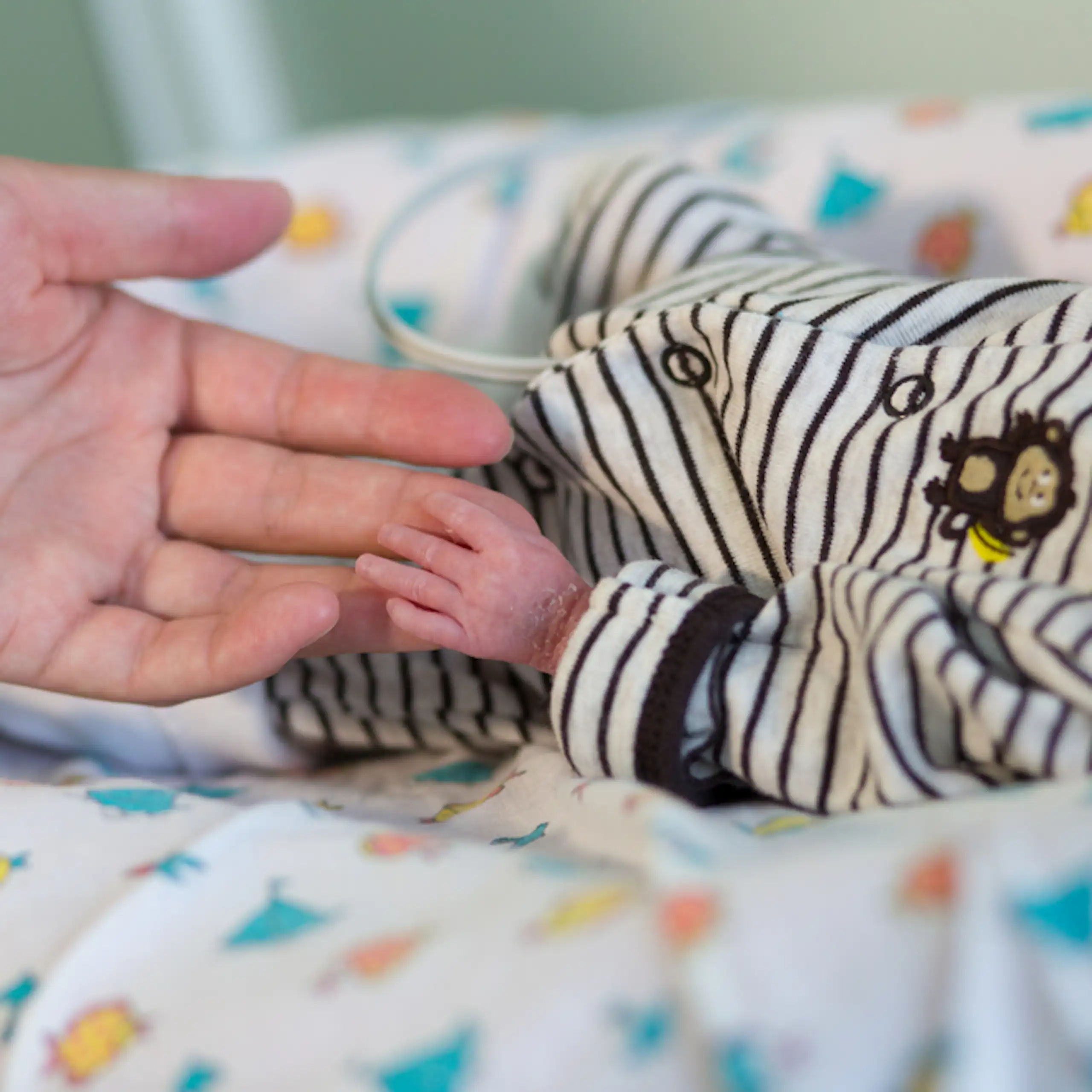 Mère tenant la main d'un bébé prématuré