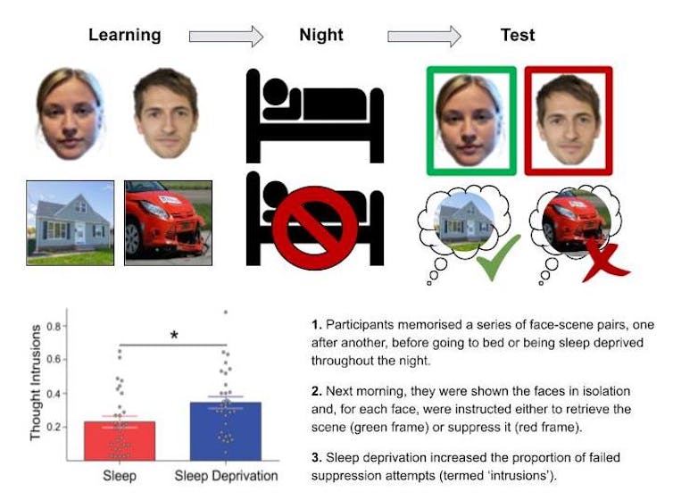 Explanation of face-image sleep and memory suppression experiment.