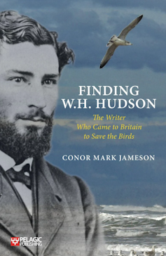 A book cover showing a young man in Victorian dress with an albatross flying over the sea in the background.