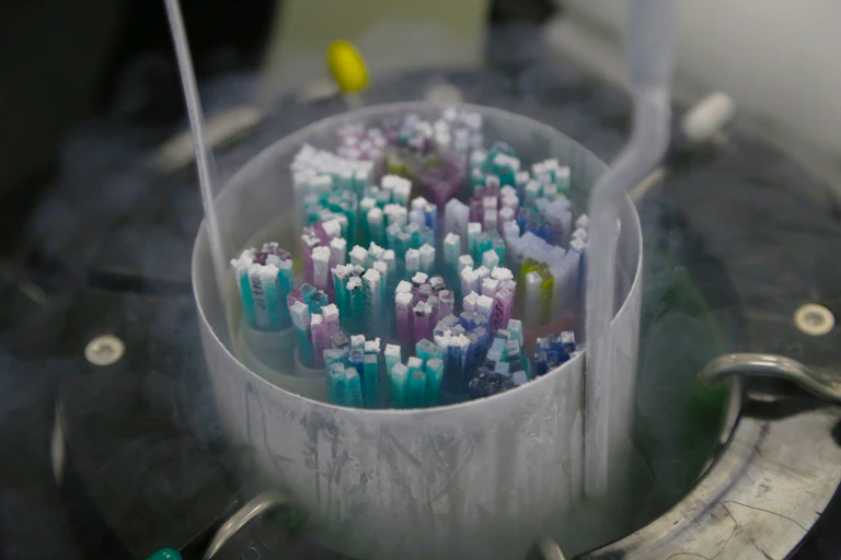 A vat with frozen embryos and eggs.